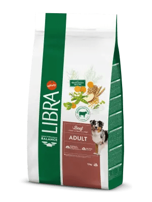 ADULT avec du BOEUF