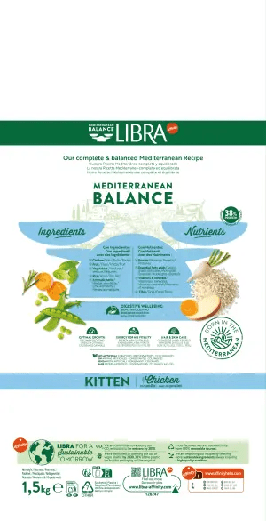 KITTEN amb POLLASTRE