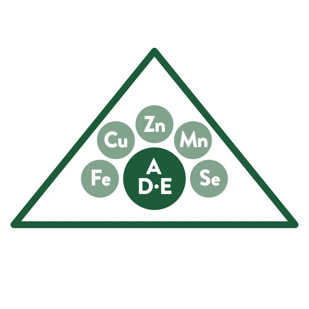 FÓRMULA RICA EM VITAMINAS E MINERAIS 