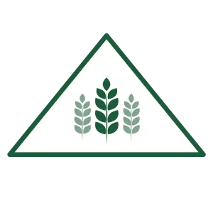 <strong>DIGESTÃO SAUDÁVEL </strong>